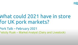 Pork Talk - February - 2021